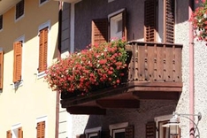 Immobilien
